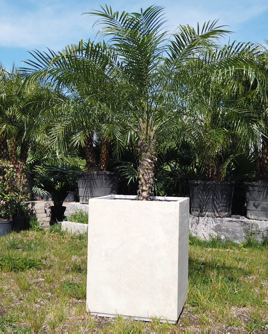 Illuminated Modern Outdoor Planter – Waterproof LED Cement Finish (White, Gray, Black)