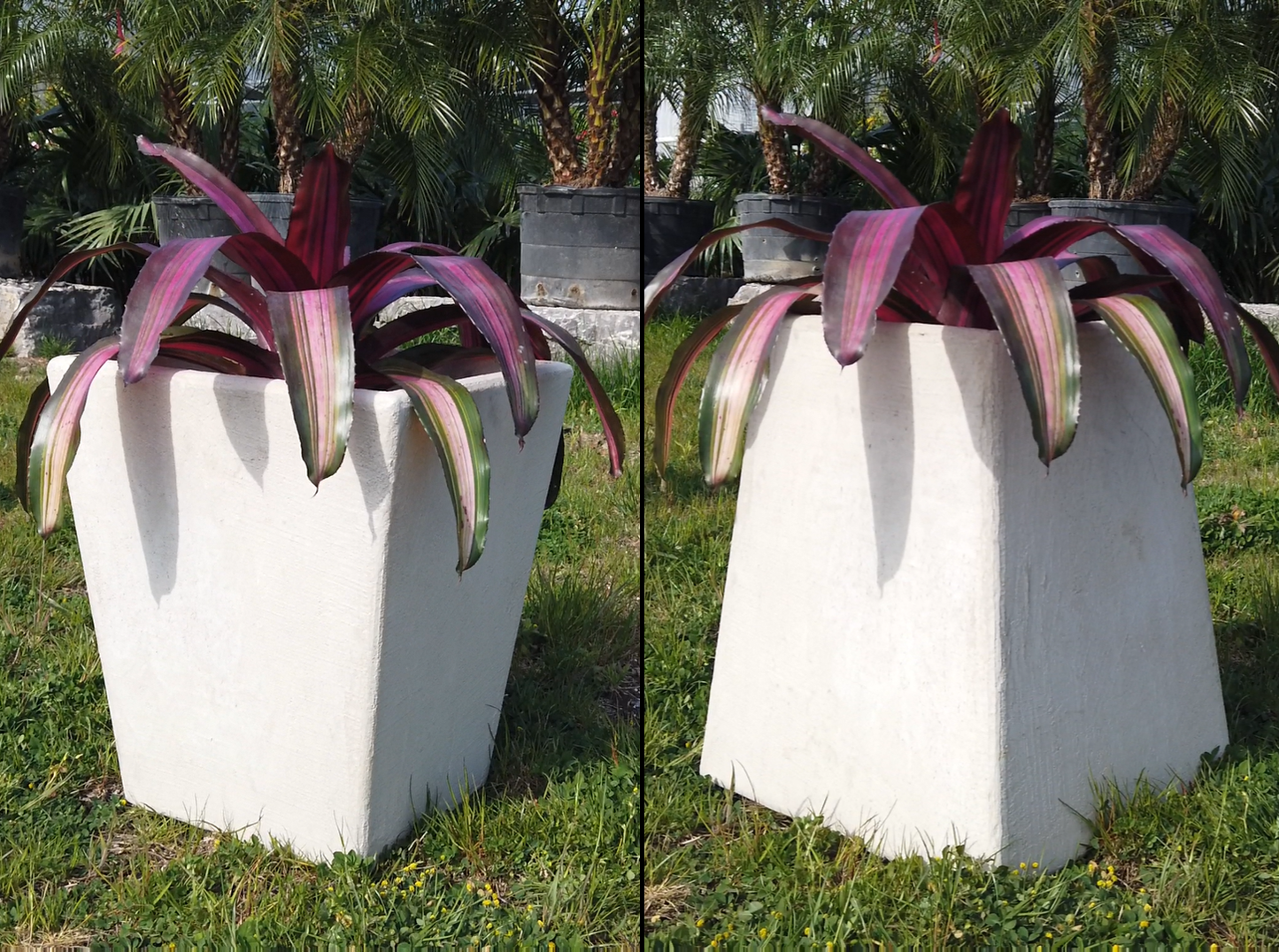 Reversible Tapered Outdoor Planter – Handmade Cement Finish (White, Gray, Black)