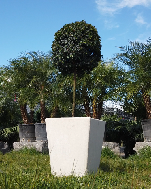 Reversible Tapered Outdoor Planter – Handmade Cement Finish (White, Gray, Black)