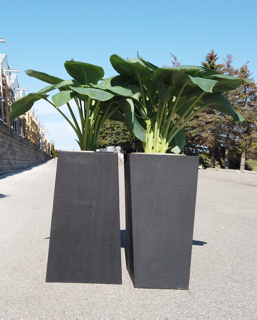 Modern Geometric Outdoor Planter – Tall, Matte Cement Finish (White, Gray, Black)