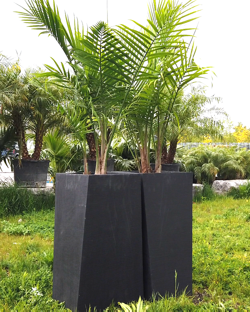 Modern Geometric Outdoor Planter – Tall, Matte Cement Finish (White, Gray, Black)