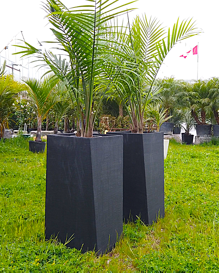 Modern Geometric Outdoor Planter – Tall, Matte Cement Finish (White, Gray, Black)